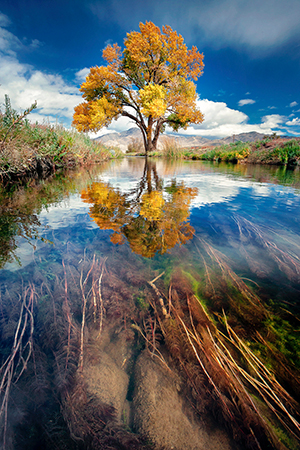 Reflection